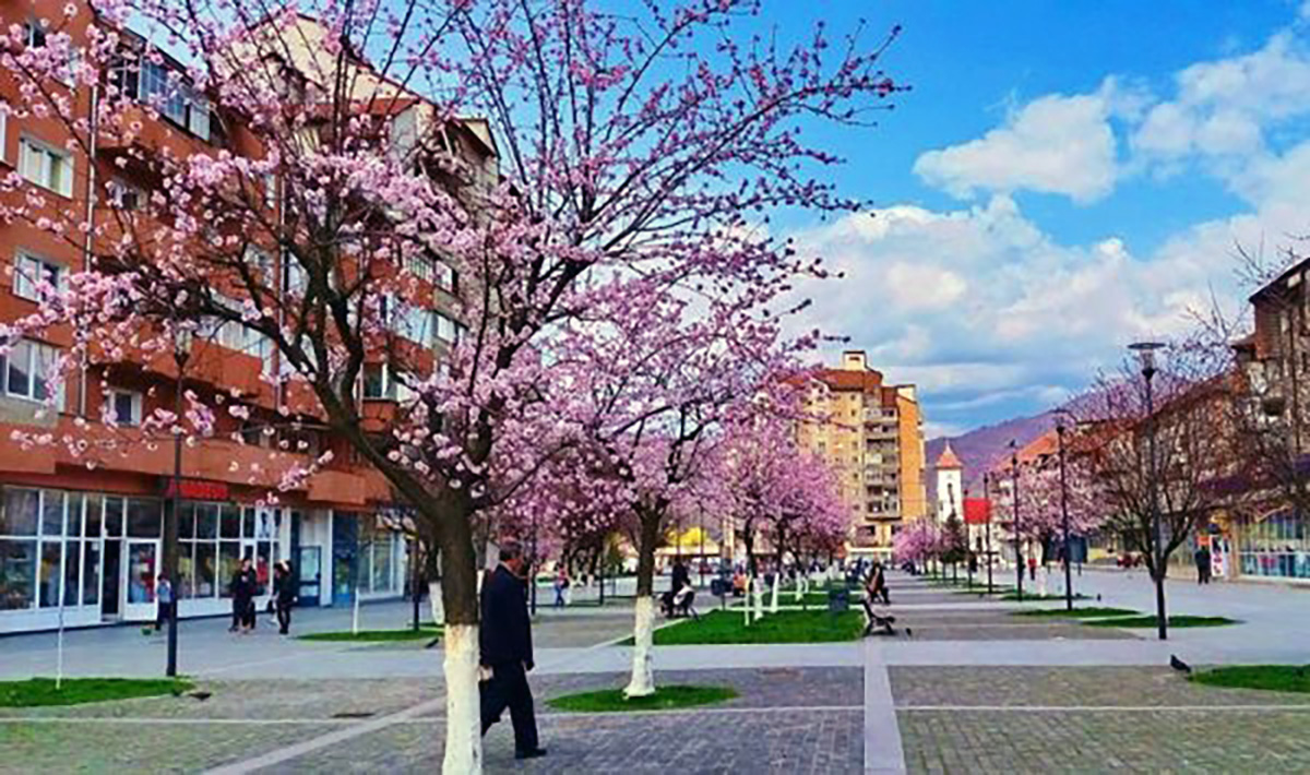250px-Pietonal_Petrosani.jpg