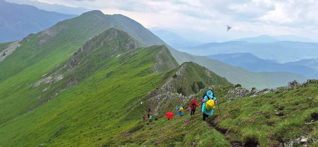 Creasta Oslea "Spinarea Dragonului"